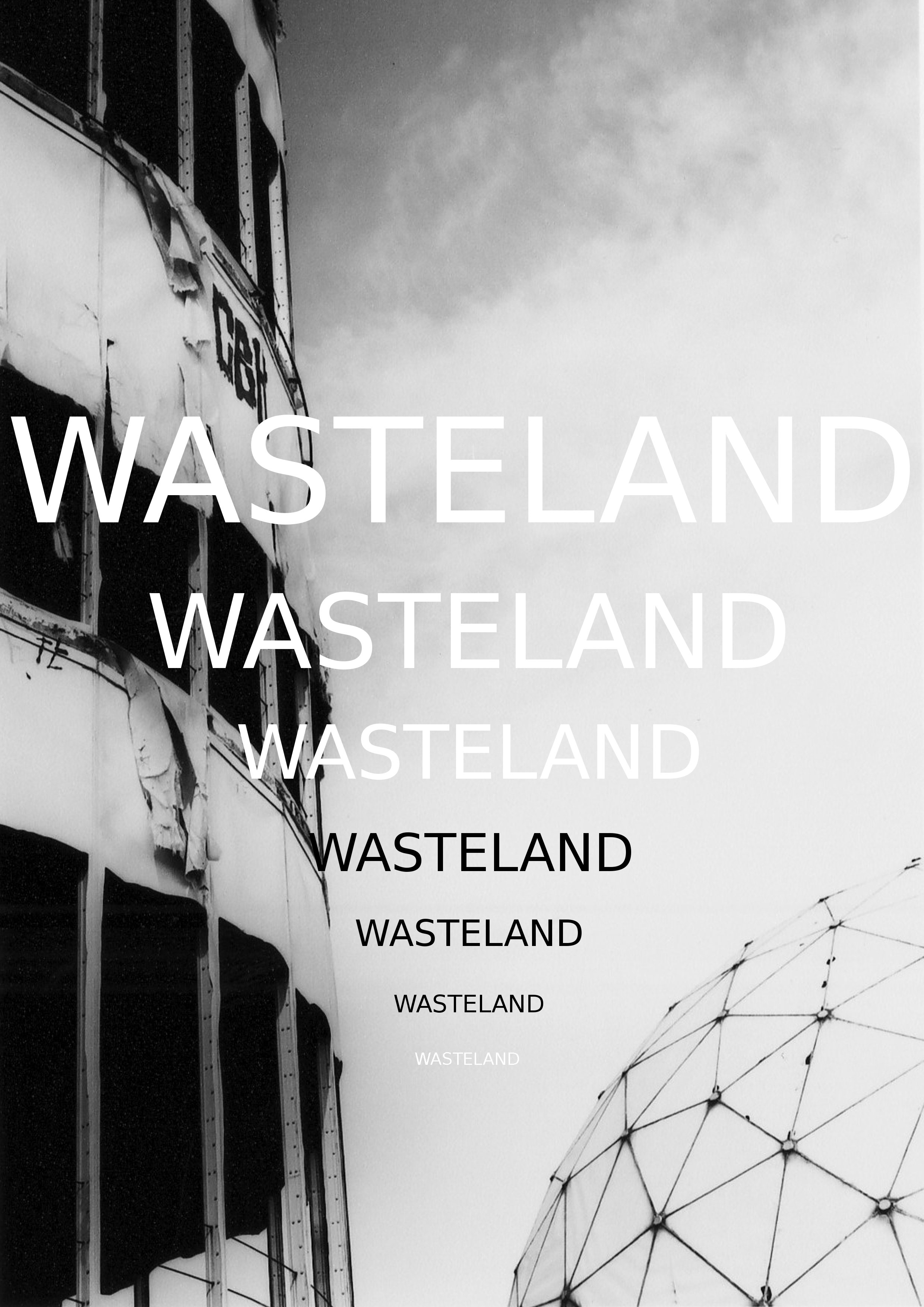 Wasteland_Compi_Zine